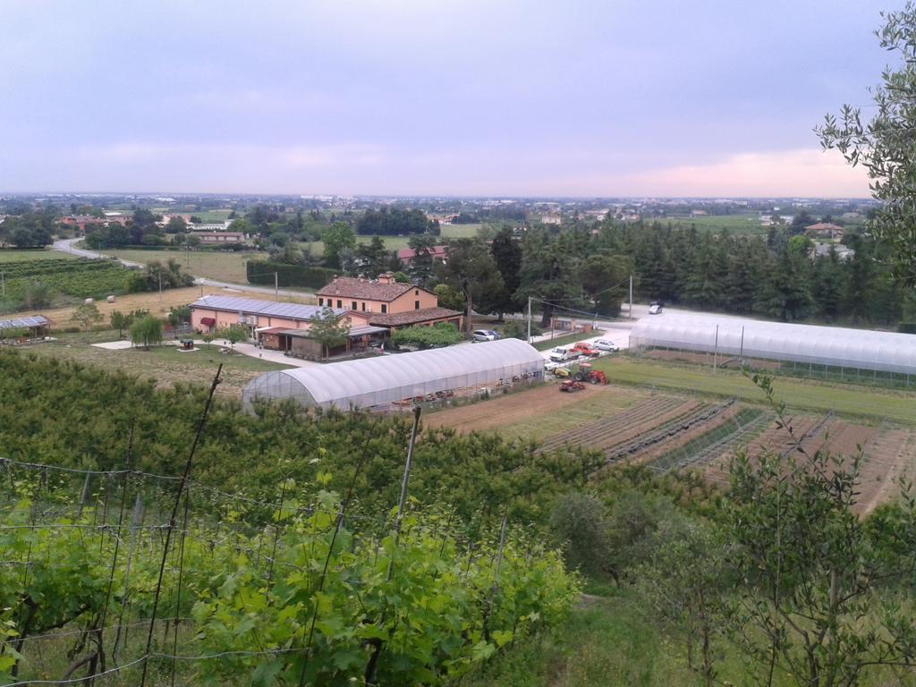 Agriturismo Perugini Bed and Breakfast Cesena Esterno foto